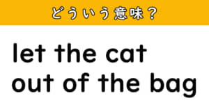 「let the cat out of the bag」（ネコが袋から出る）の意味は？