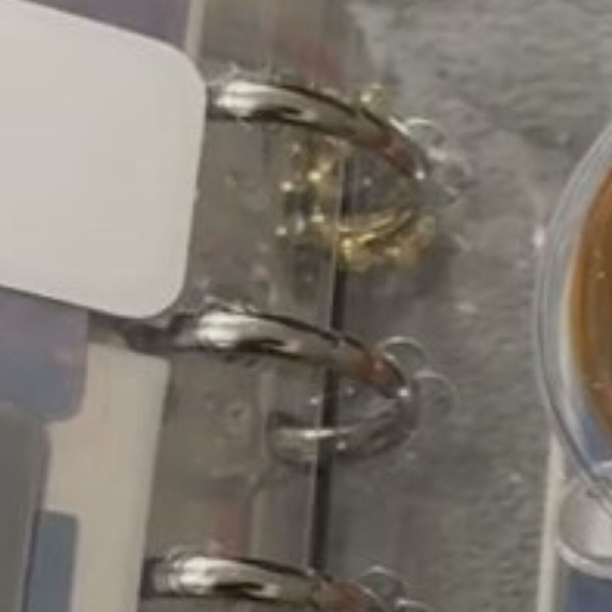 38歳夫→妻と“シール交換したい”一心で用意したのは……　衝撃のシール帳が120万再生「ちょっと待てぃ」「クソ怖いやんwwww」 | ライフスタイル ねとらぼ