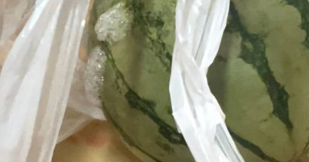 スイカを3日放置→ぶくぶく泡を吹き始めたので、切ったら……「ひえええー!!」　まさかの中身に「こんなになるの!?」「鬼滅の刃かと」（1/3） | ライフスタイル ねとらぼ