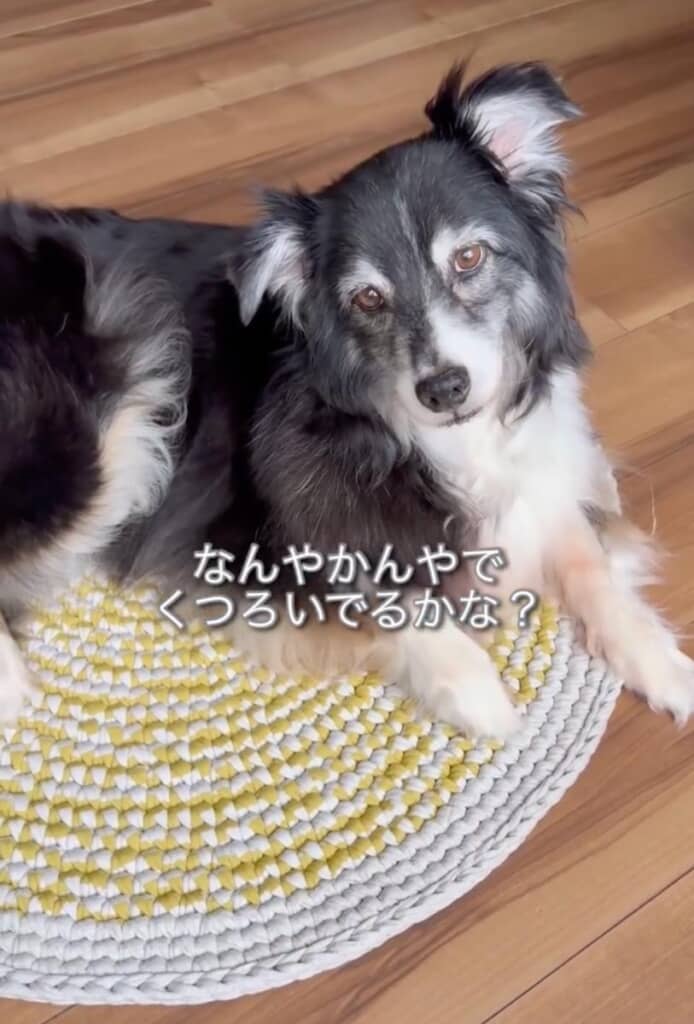 無事に完成しました！