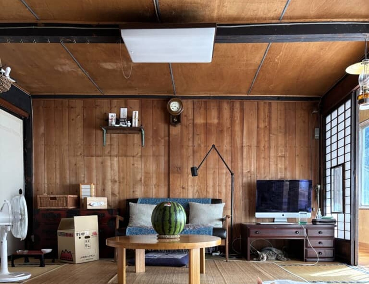 真夏の暑い日、部屋にいる猫たちをふと見ると……「すごく長くて2度見した」 絵になり過ぎる光景に「目を奪われました」(1/3) | 猫 ねとらぼ