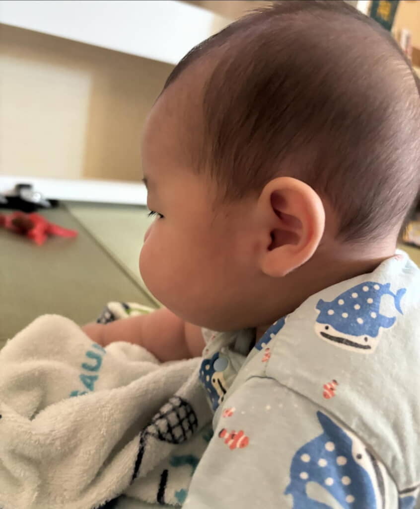 これは撮りたくなるのもわかる