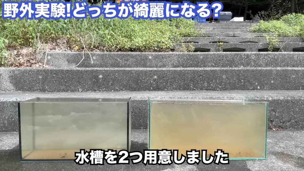 投げ込み式フィルターの定番商品「水作エイト」の効果を検証