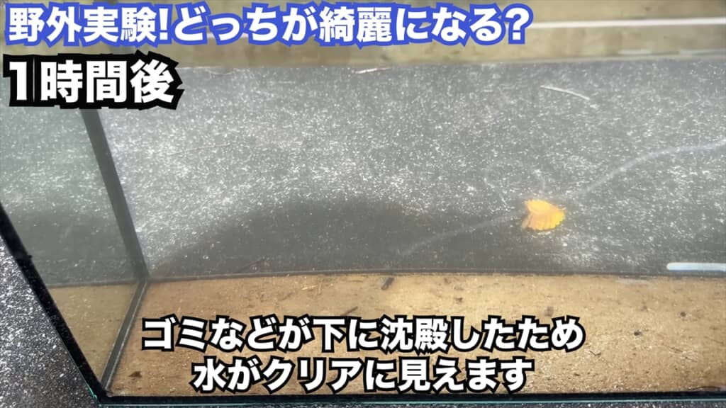 投げ込み式フィルターの定番商品「水作エイト」の効果を検証