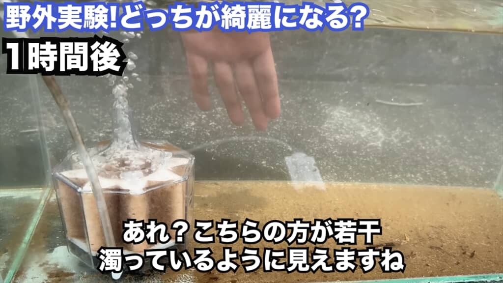 投げ込み式フィルターの定番商品「水作エイト」の効果を検証