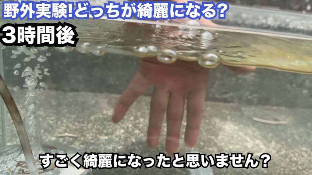 投げ込み式フィルターの定番商品「水作エイト」の効果を検証