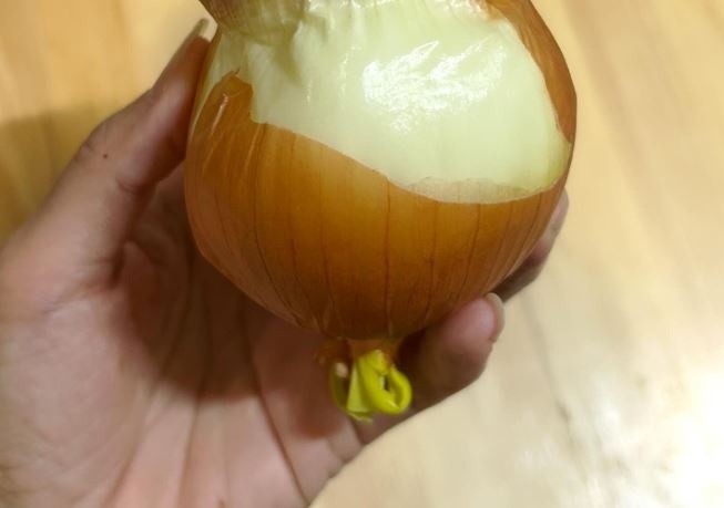 玉ねぎとニンニクを一緒に保存していたら……？