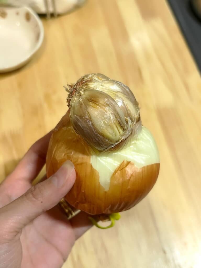 横から見たところ