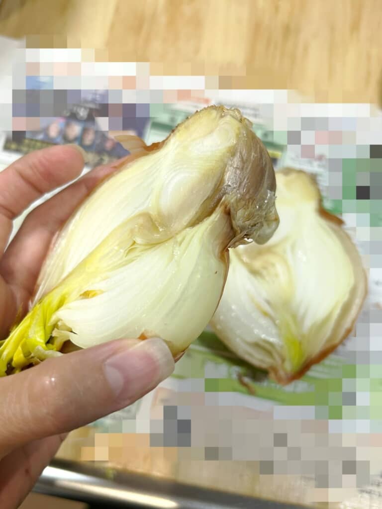 ニンニクに寄生された玉ねぎ