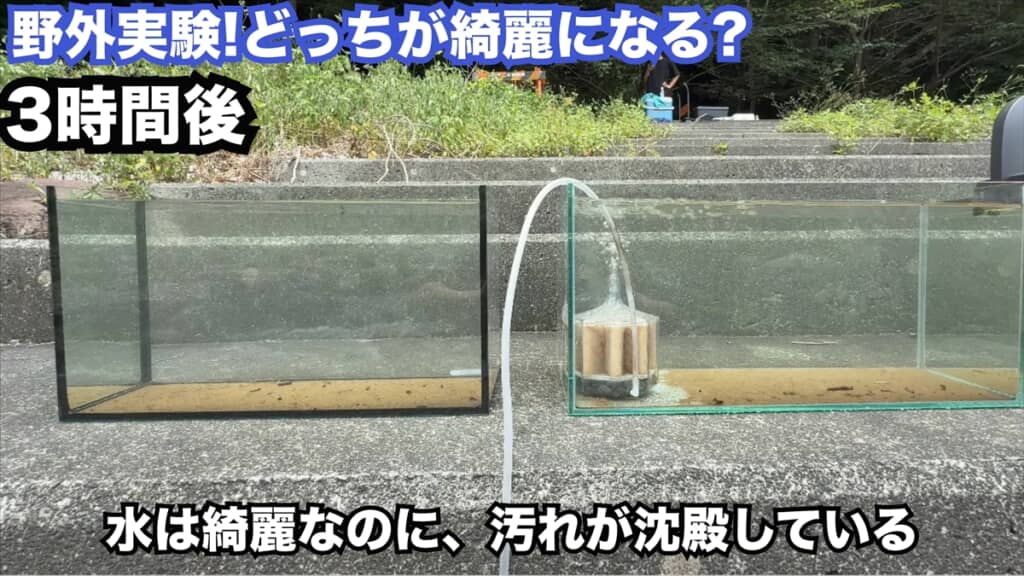 投げ込み式フィルターの定番商品「水作エイト」の効果を検証