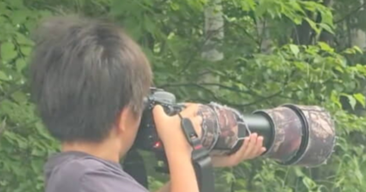 北海道で出会った野生のキタキツネ、小学生の男の子がカメラを構えると……　300万再生された瞬間に「かっけー！」（1/3） | その他生き物 ねとらぼ