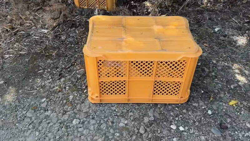 コンテナが伏せてありました