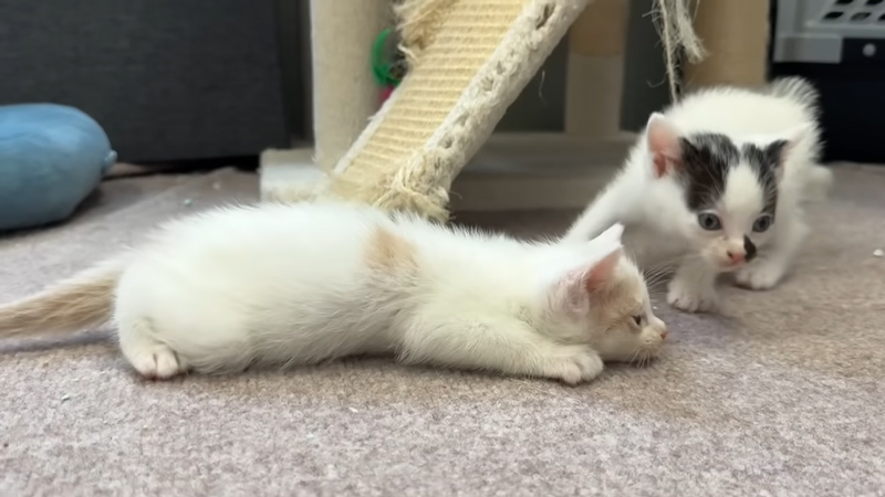 のびのびリラックス