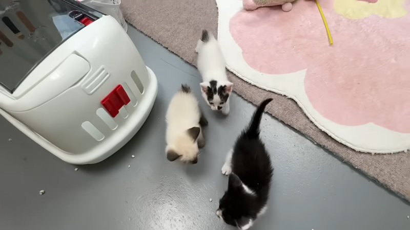 みんなで父ちゃんをお出迎え