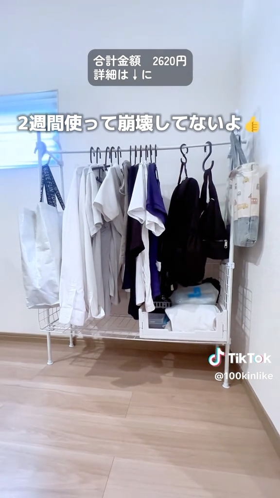 上段にはハンガーに掛けた洋服を、下段の収納スペースには小物類を収納可能