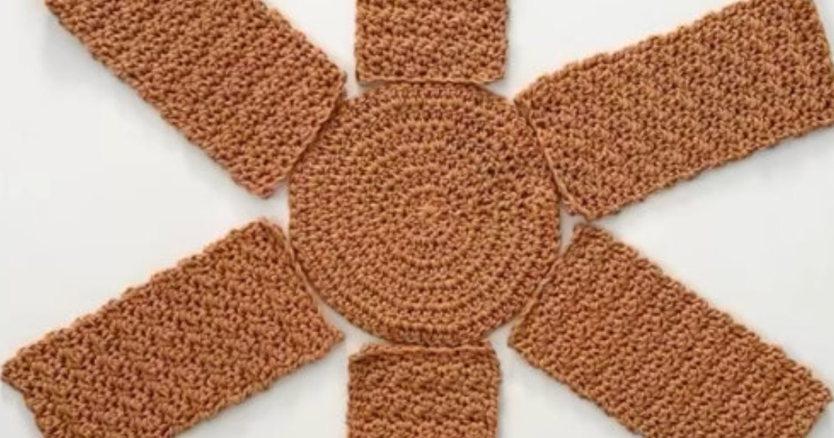 かぎ針編みの“円と6つの長方形”→つなぎ合わせたら……「この発想はなかった！」　驚きのアイデアが480万再生【海外】（1/2） | ライフスタイル ねとらぼ