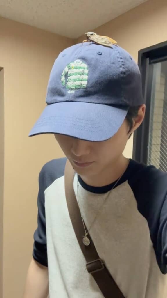 キャップの上をよく見ると……