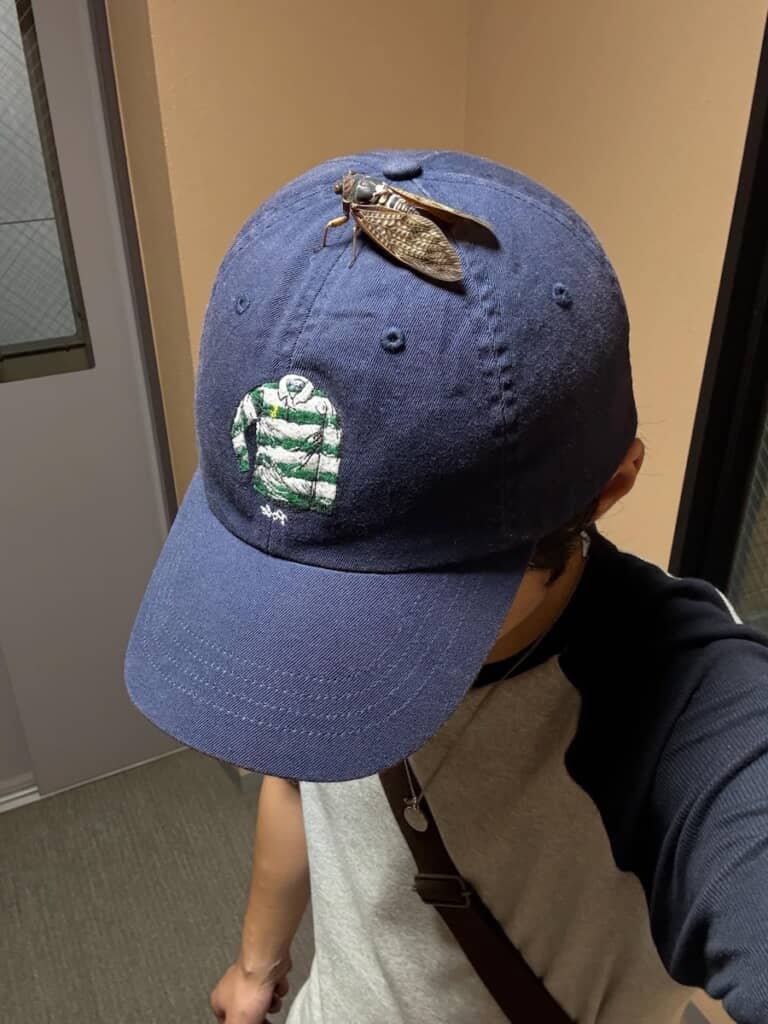 電車からずっといたらしいセミ