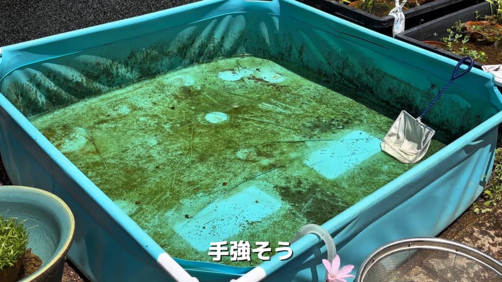 「これは手ごわそう」