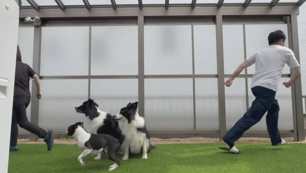 左右にダッシュ！