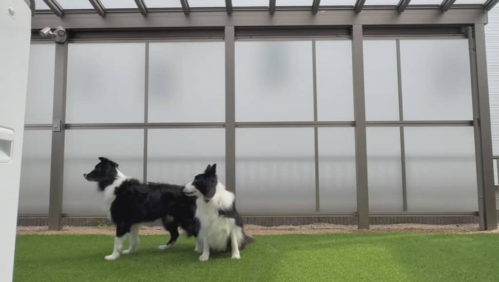 残されたふたり……