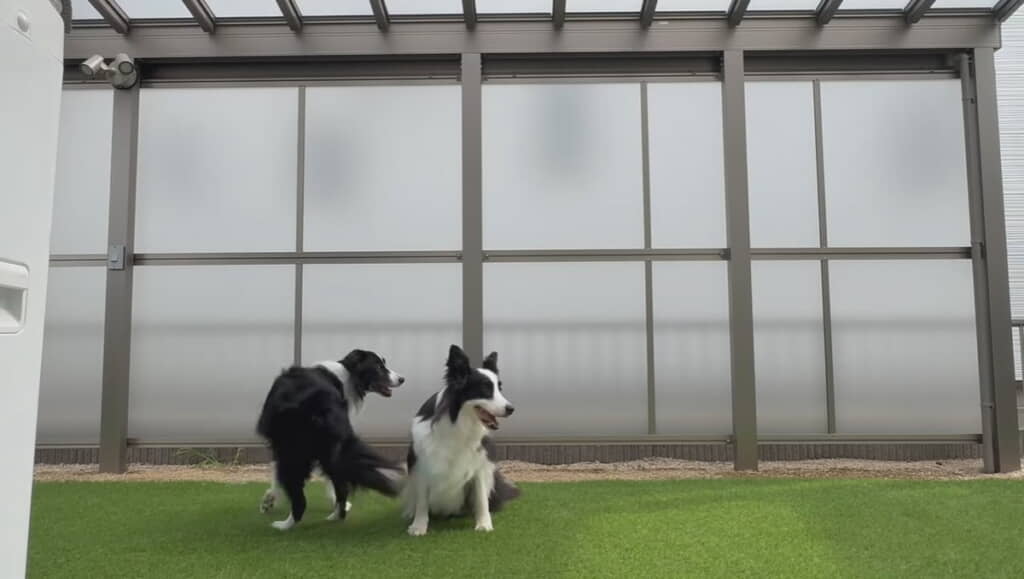 ママパパをキョロキョロ