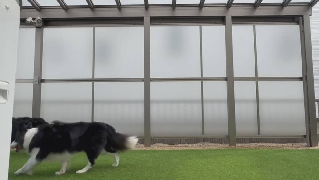 そしてまきさんの方へ……