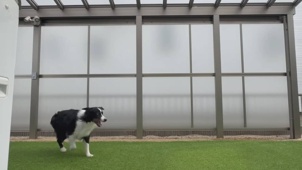 リースくん、戻ってきてくれた～！