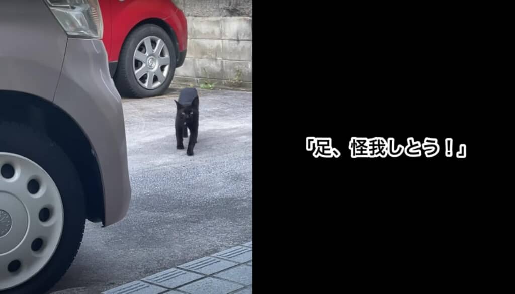 足をケガをした輪熊ちゃんがいました