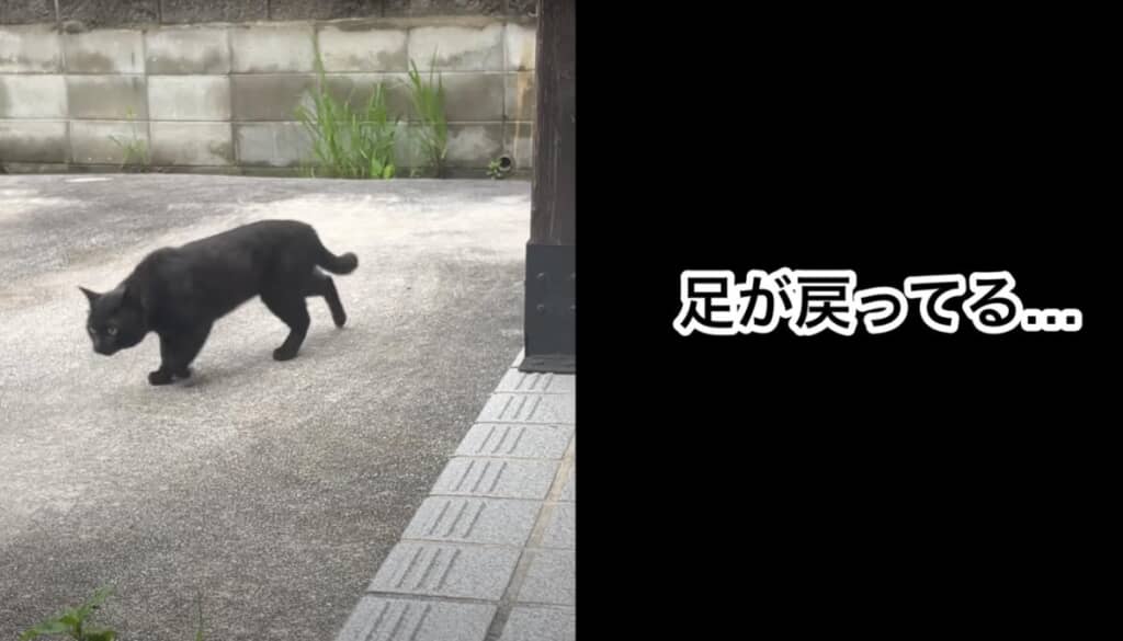 10日後……足のケガが完治!?