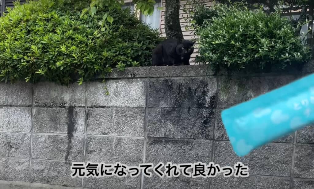 元気になってくれて良かった！