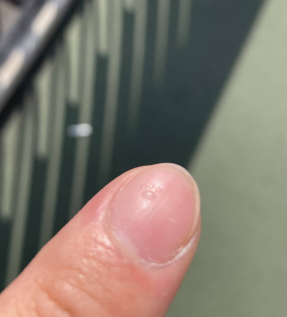 小さな肉球が……！