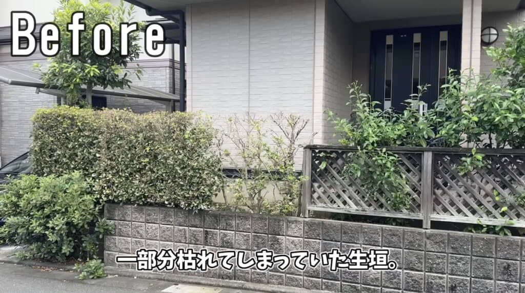 ボロボロな生垣
