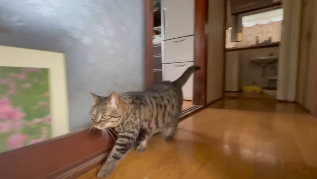 最後のパトロールです