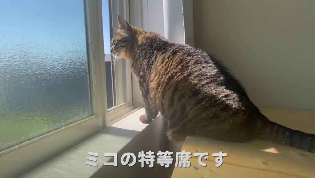 外が見える特等席です