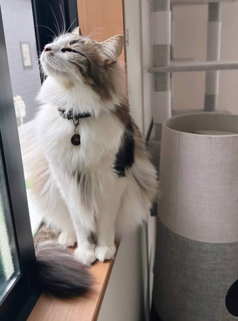 春の気配に目を細めて