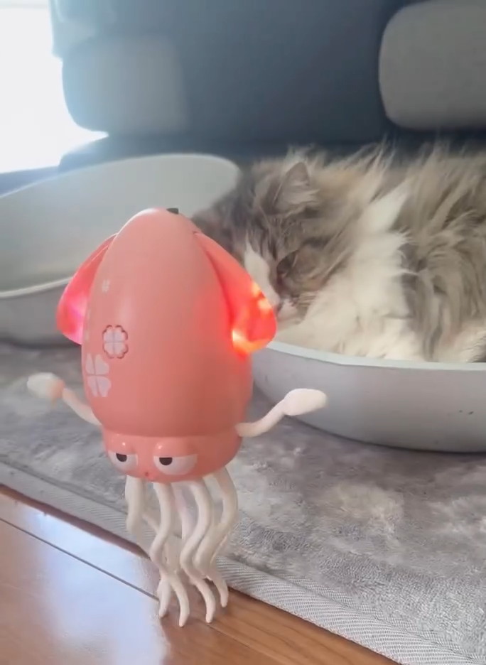 楽しそうなイカのおもちゃですが……