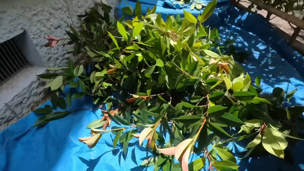 後片付けが楽なことも大きな魅力です