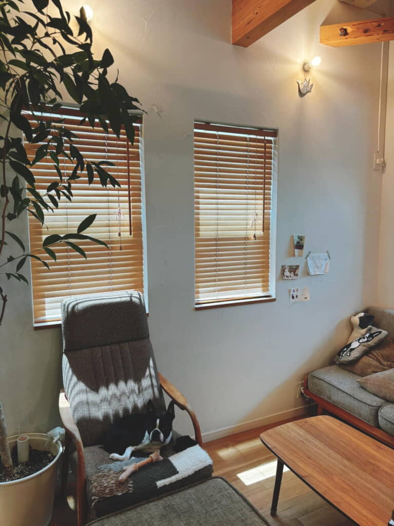 気に入ってくれたみたいですね