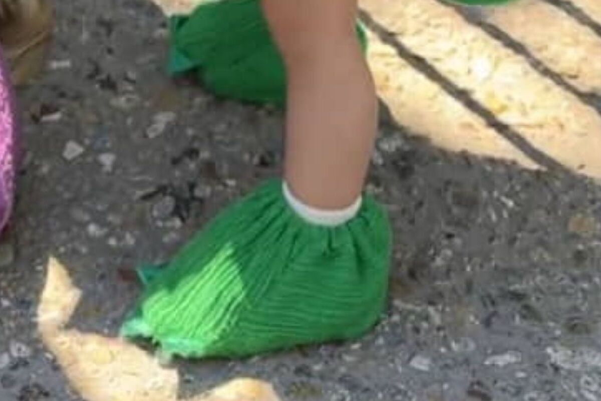 ディズニーへ行ったら……　キャストが思わず駆け寄った“まさかの姿”に「これは反則やな」「かわいすぎるw」と270万再生 | ライフスタイル ねとらぼ