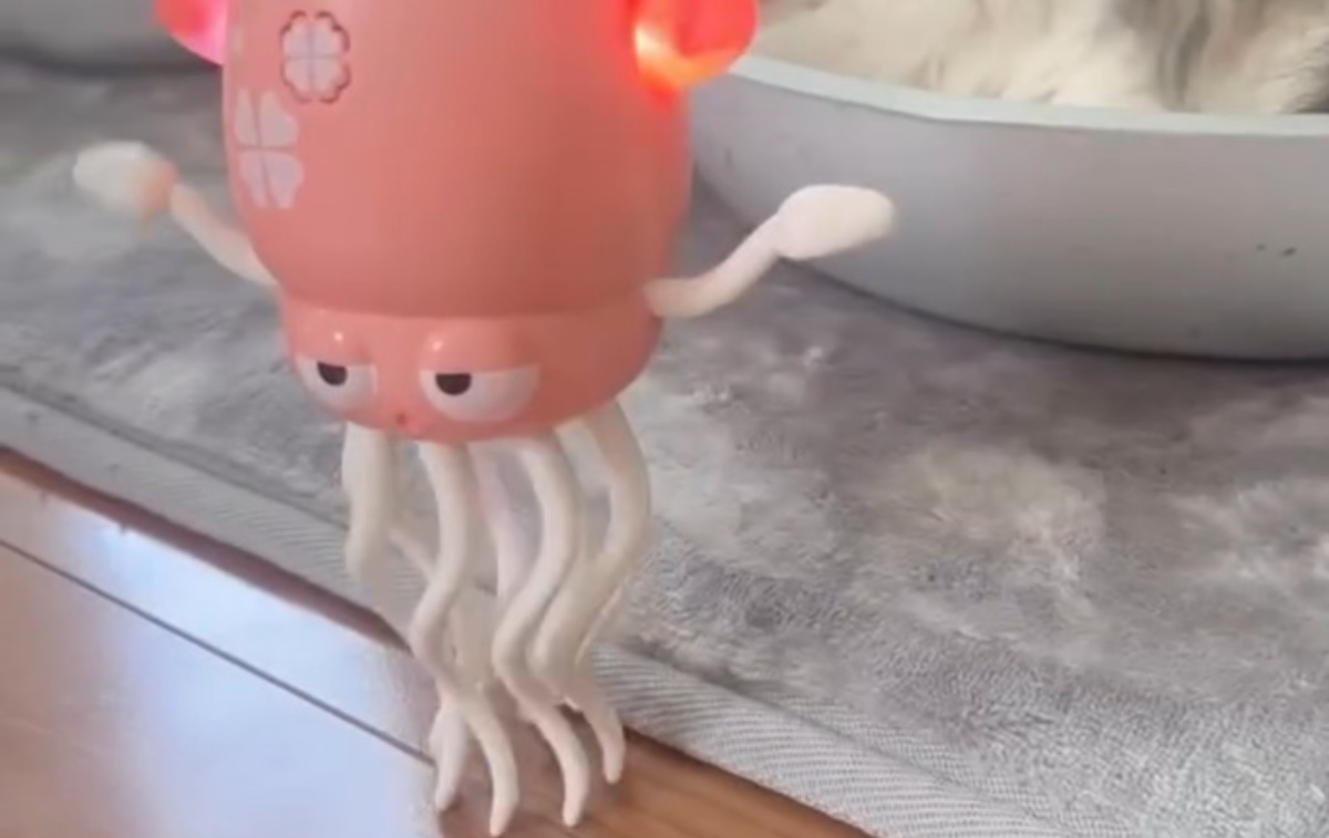 Amazonで買ったイカのおもちゃ、猫に見せてみたら→「えっ…ちょ…」　まさかの光景に「切ないww」「仕方なく踊ってますね」（1/3） | 猫 ねとらぼ