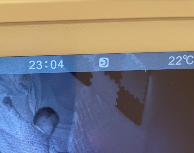 双子赤ちゃんのママ、ふと夜中にベビーモニターを見ると……　絶句するまさかの光景に「ごめんなさい」「こうやって鍛えられてたのかｗｗ」（1/3） | 育児 ねとらぼ