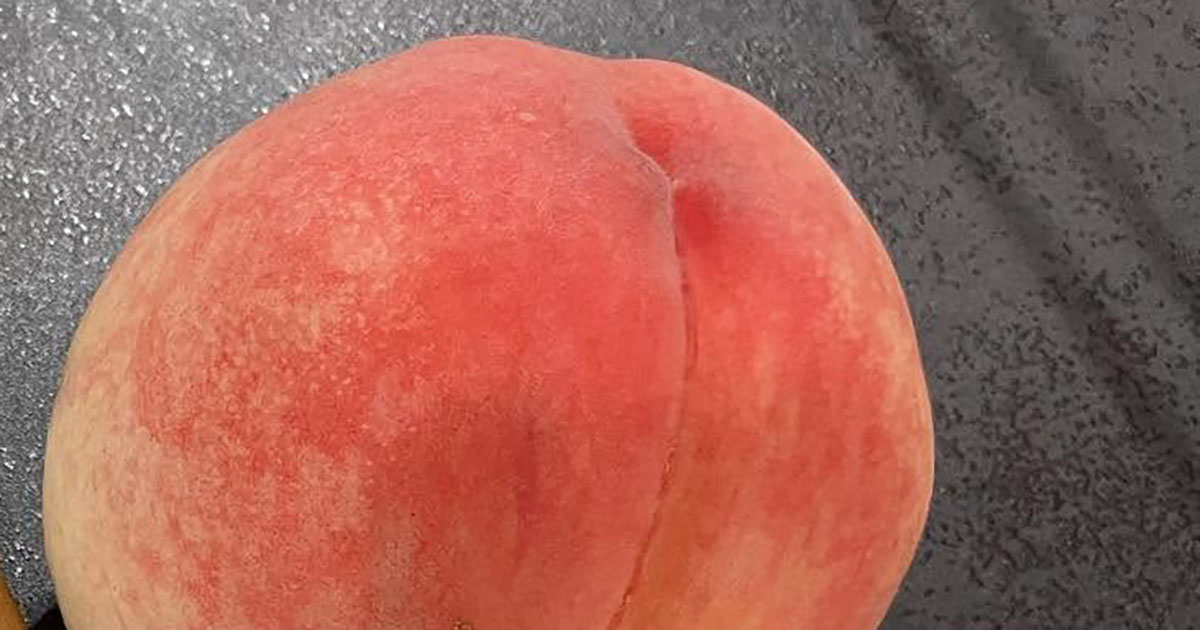 娘が通う83歳“おじいちゃん先生”→ママが桃をお裾分けしたら……　まさかのお返しに「粋ですね」「すてきな世界」（1/3） | カルチャー・アート ねとらぼ