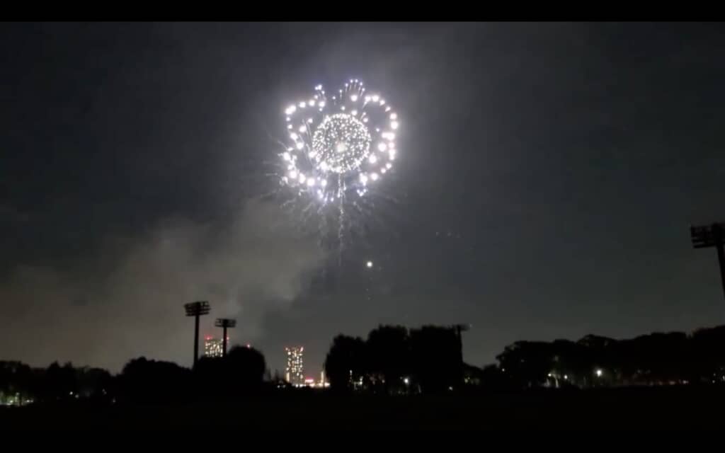 丸い花火とリング状の花火が夜空を彩ります