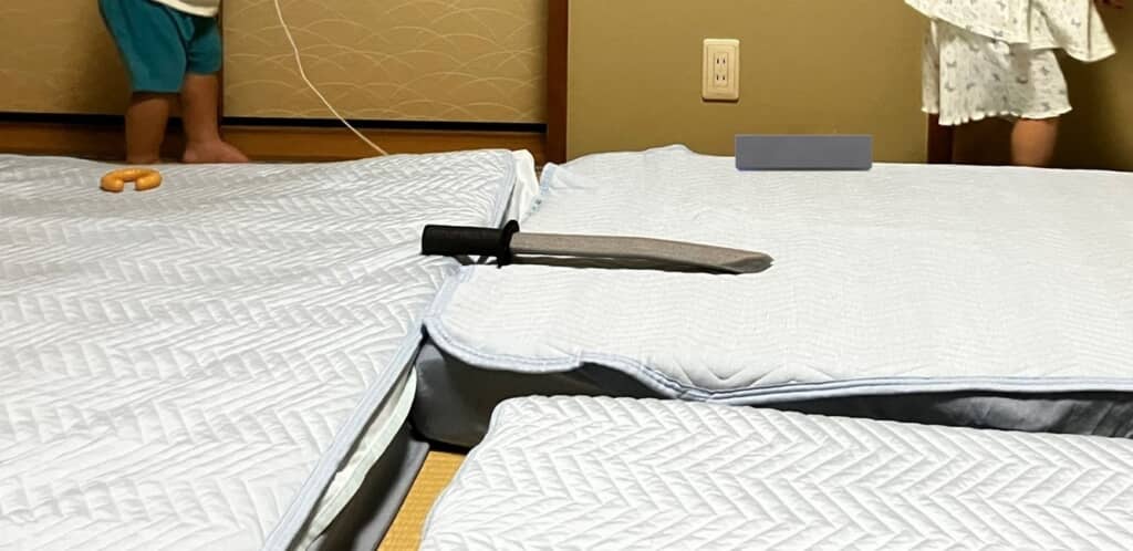 目の前に飛び込んできたのは……