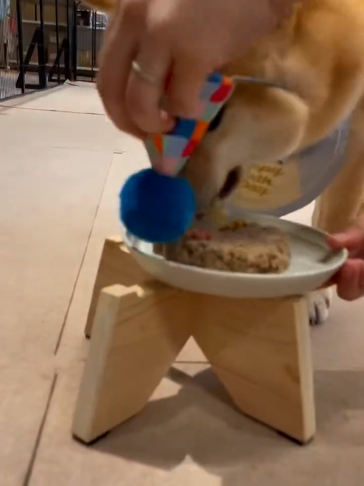 帽子がズレ下がりつつ食べる食べる！