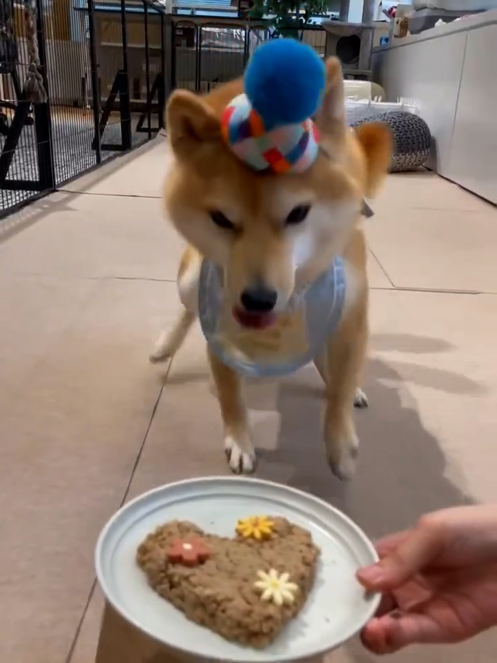 最後は待ちきれず……