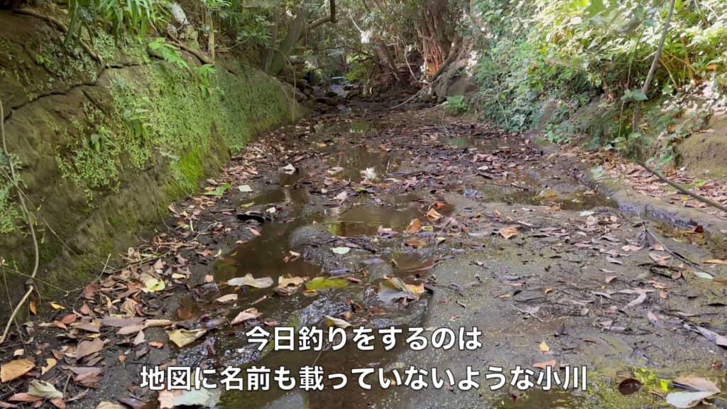 名もなき小川でウナギを狙っていきます