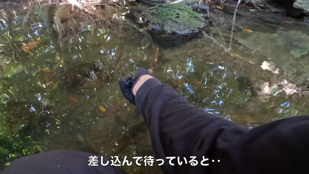 穴を見つける→差し込む→待つの繰り返しです