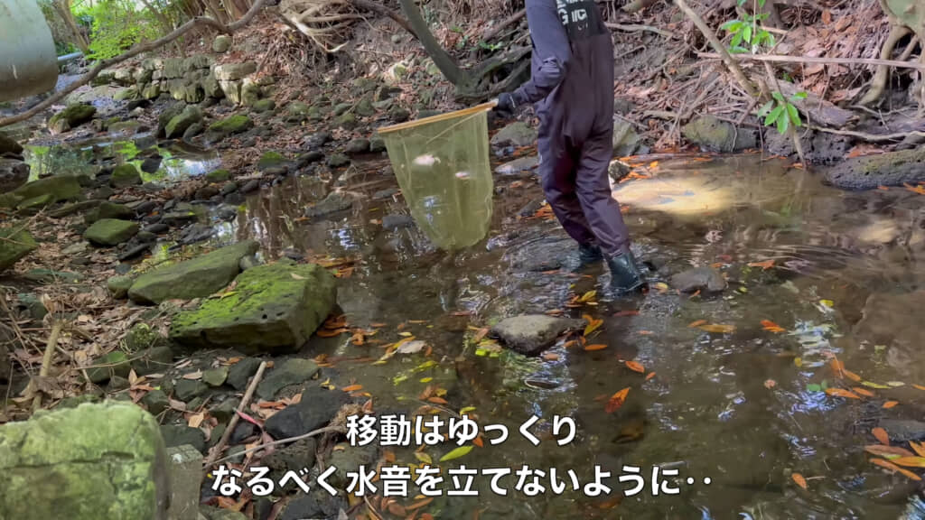 慎重に移動しながらウナギを探します